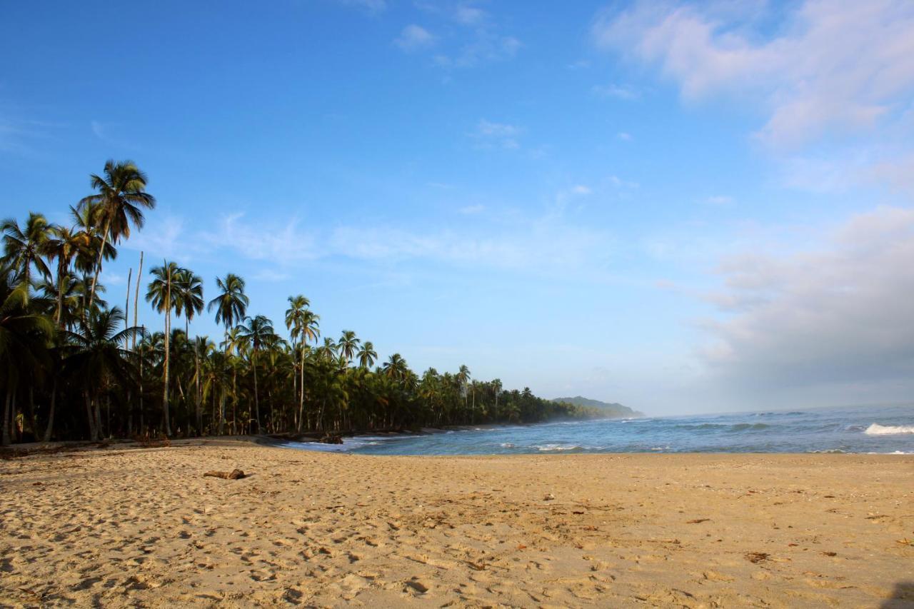 La Aldea Hostel, Camping Y Hamacas Palomino Ngoại thất bức ảnh