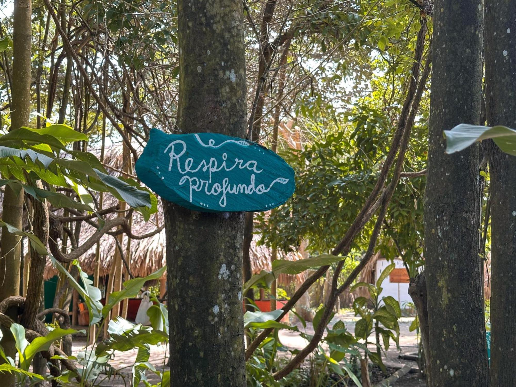 La Aldea Hostel, Camping Y Hamacas Palomino Ngoại thất bức ảnh