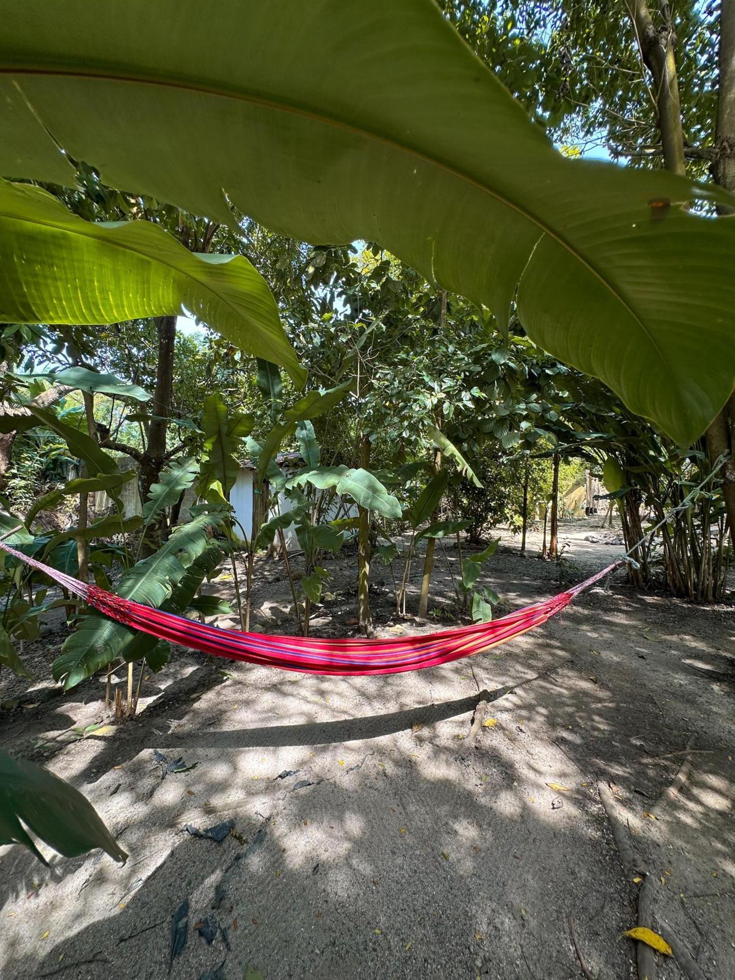 La Aldea Hostel, Camping Y Hamacas Palomino Ngoại thất bức ảnh