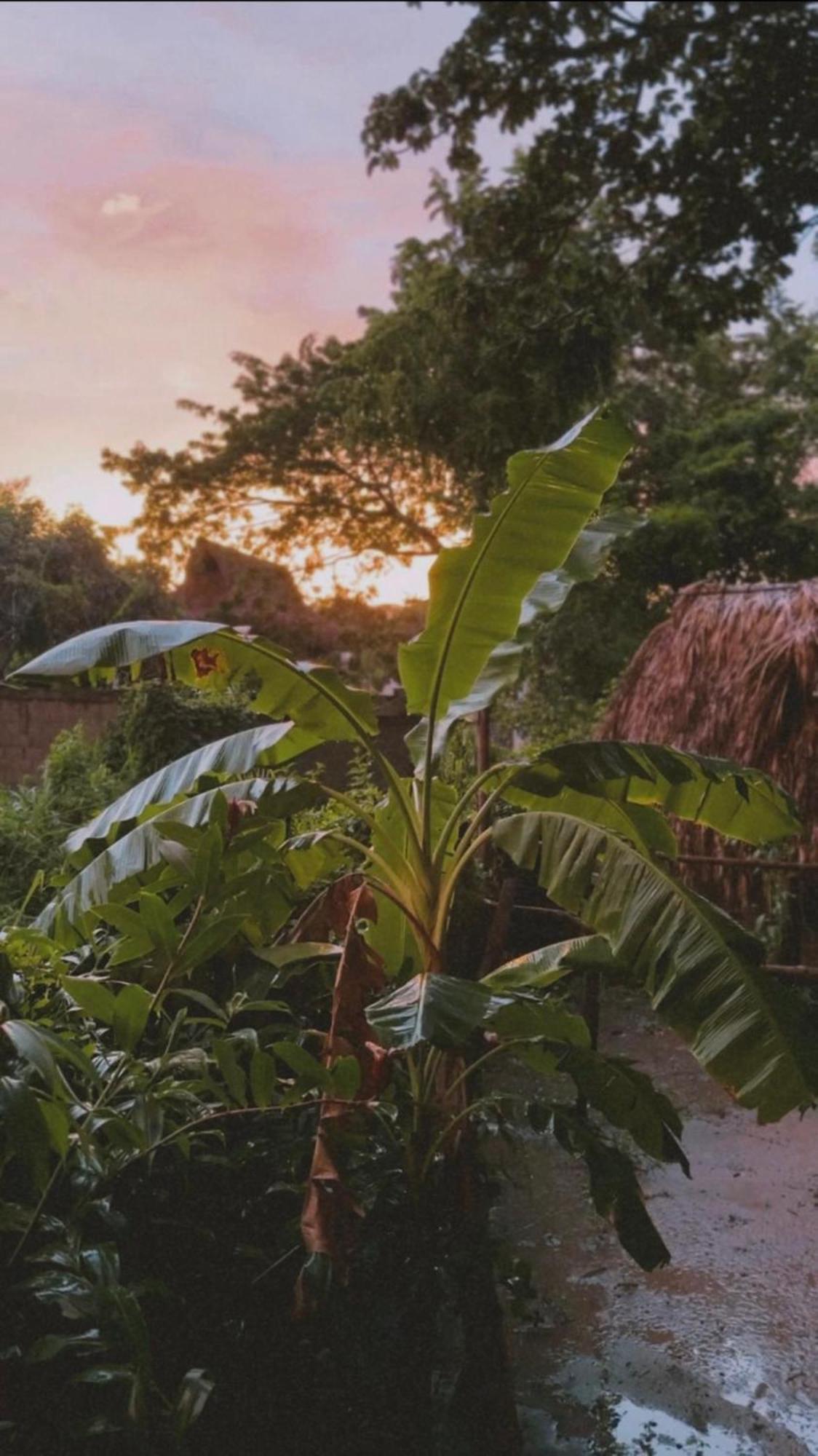 La Aldea Hostel, Camping Y Hamacas Palomino Ngoại thất bức ảnh
